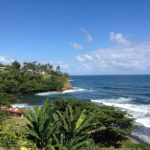 Honoli’i Surf Report: Riding the Waves in Paradise